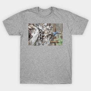 Scrub Jay on Sycamore Tree T-Shirt